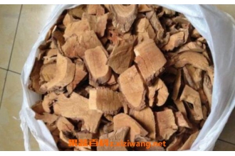 Ұ��⨺��Ҹ��Ĺ�Ч������ Ұ��⨺��Ҹ��ܿ���