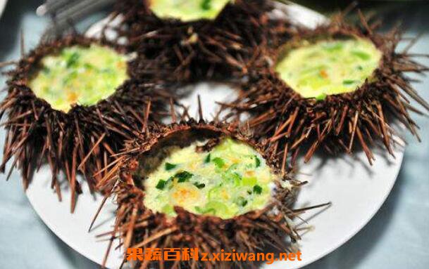 ������Ӫ����ֵ �Ժ����ĺô��빦Ч