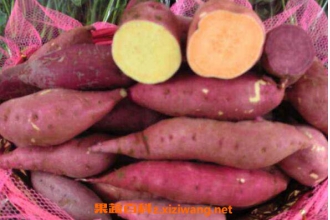 �������Ĺ�Ч������ �Է������ĺô�