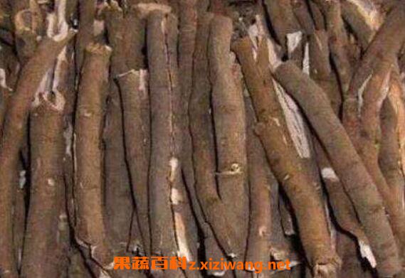 ��Ƥ��γ� ��Ƥ��ʳ�ý���