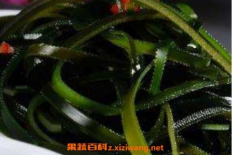 Ů�˳��Ժ�����Ч�� �����Զ��˶�Ů�Ի���