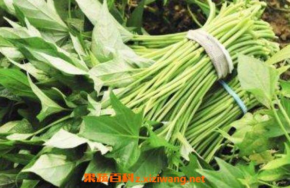 �ع�Ҷ�Ĺ�Ч������ �Եع�Ҷ�Ľ���