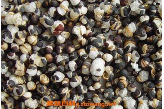 ���������ѵĹ�Ч������ ���������ѵĸ�����