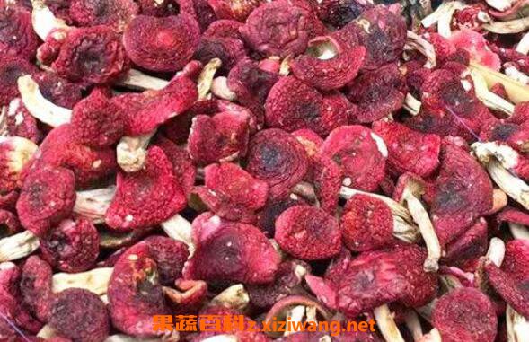 Ұ���칽��γ� Ұ���칽�Ĺ�Ч������