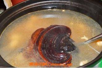Ұ����֥�Ĺ�Ч������ Ұ����֥�ĳԷ�