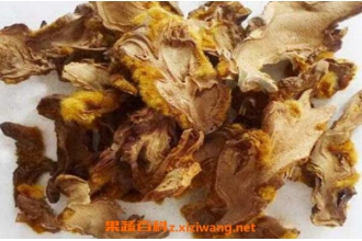 ��ë�����Ĺ�Ч�����ü�ҩ�ü�ֵ