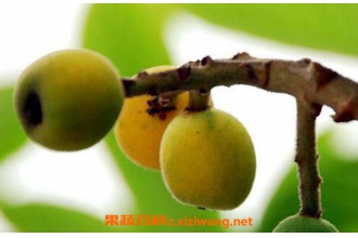��÷���ӵĹ�Ч������ ����÷���ӵĺô�
