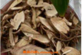 Ұ�޻����Ĺ�Ч�����ü�ҩ�ü�ֵ