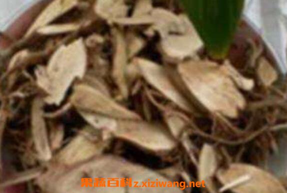 Ұ�޻����Ĺ�Ч�����ý�ҩ�ü�ֵ