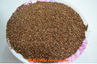 �����ѵ�ʳ�÷��� ������Ϊʲô���ܶ��