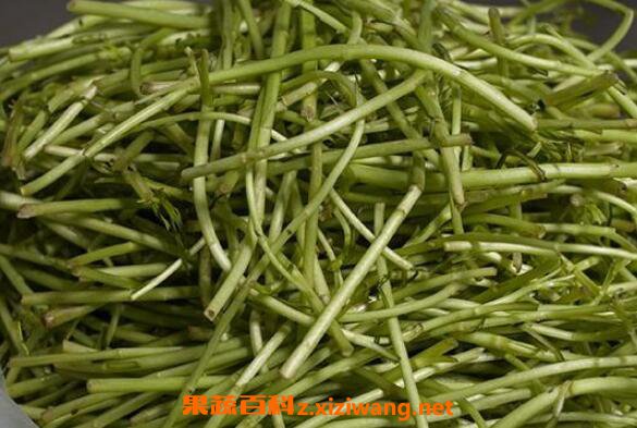޼��Ĺ�Ч������ ޼���ʳ�ý���
