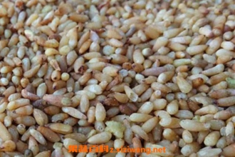 �����ʵĹ�Ч������ �����ʵ�ҩ�ü�ֵ