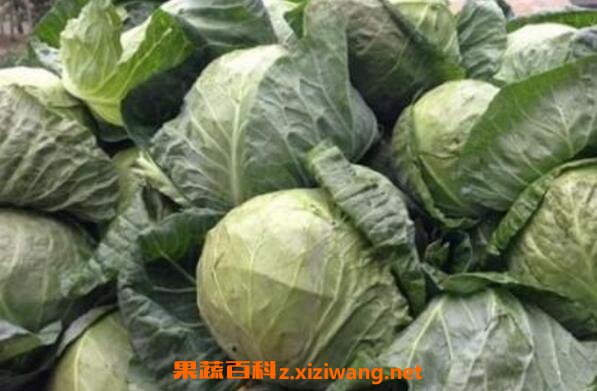�����˵Ĺ�Ч������ �����˵�Ӫ����ֵ