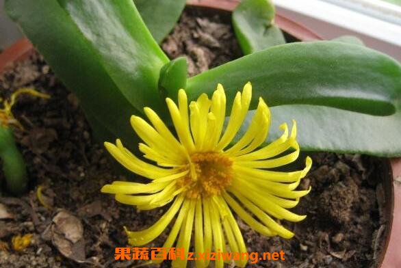 �����н������ֳ �����н����ֳ����
