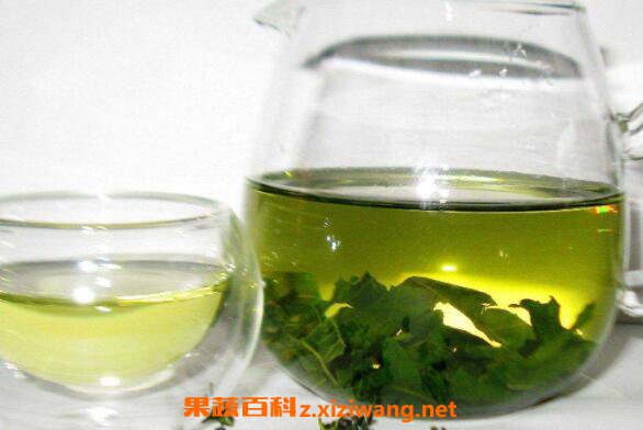 桑叶茶不适合什么人喝 桑叶茶的制作方法
