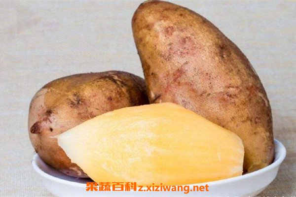 ѩ����