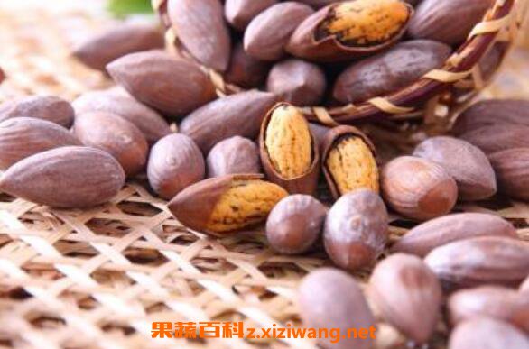 ��鼵Ĺ�Ч������ ��鼵�ҩ�ü�ֵ