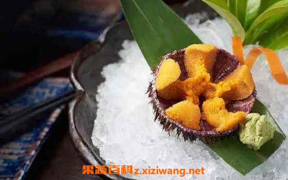 �����Ӫ����ֵ�빦Ч����