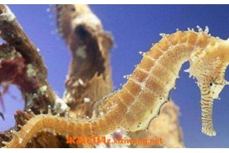 ���ʺ�����ô����ɹ�� ����ɹ��ע������