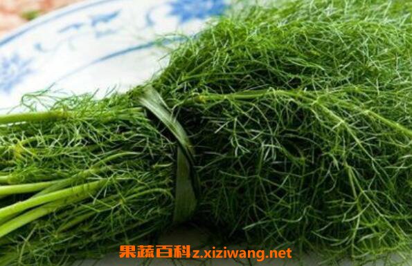  ��Щ�˲��ʺϳ������ ������˵Ļ���