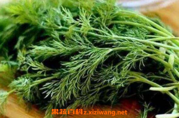 �������С��������� ����Ĺ�Ч������