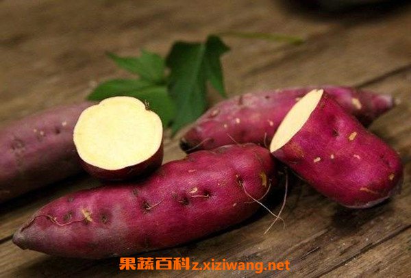 ѩ����