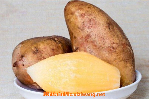 ѩ����