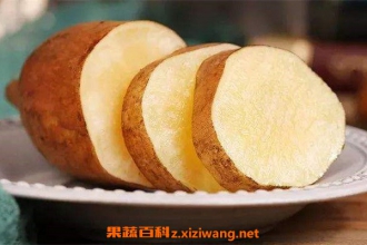 �и����Գ�ѩ������ ��ѩ�������Լ�����