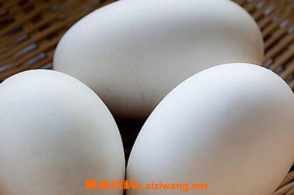 �쵰�Ĺ�Ч������ �Զ쵰��ʲô�ô�