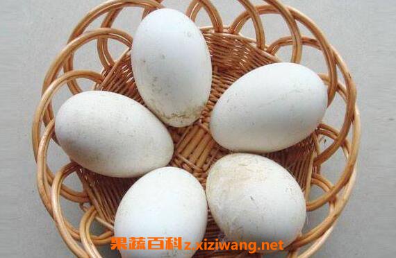 �쵰�Ĺ�Ч������ �Զ쵰��ʲô�ô�