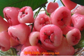 �����Ĺ�Ч������ �������ĺô�