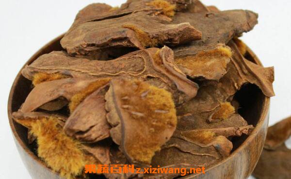 �����ݾƵĹ�Ч������ �����ݾƵķ���������