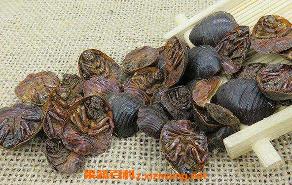 ��ҩ�����Ĺ�Ч�����ü�ҩ�ü�ֵ