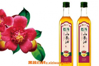 �컨������ô�� �컨���͵�ʳ�÷���
