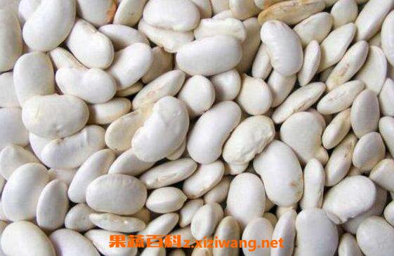 ��ܿ���Ĺ�Ч������ �԰�ܿ���ĺô�