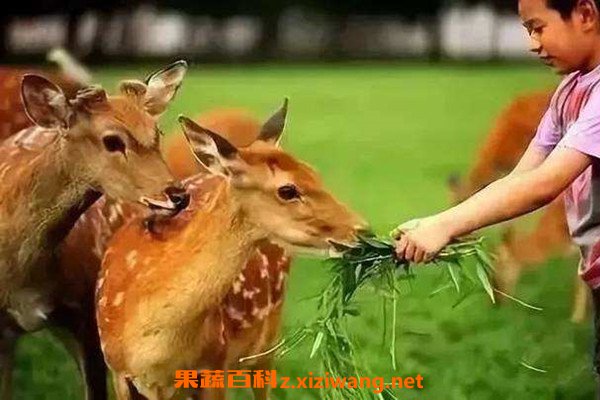 ȫ¹��