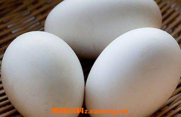 �쵰��Ů����ʲô�ô� Ů�Գ��ڳԶ쵰�ĺô�