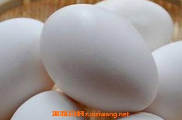 �쵰��Ů����ʲô�ô� Ů�Գ��ڳԶ쵰�ĺô�