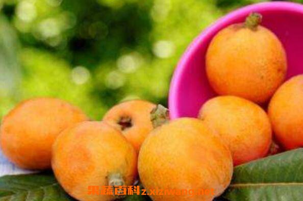 ���˲��ܺ�ʲôһ��� �����˵Ľ���