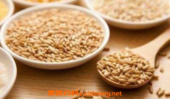 Ұ������ô�� Ұ����ֹ�麹�ķ���