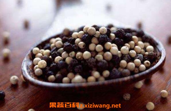 ��������ʲô �����ض�Ƥ��������