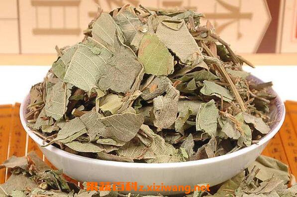 广金钱草的功效与作用 广金钱草的副作用