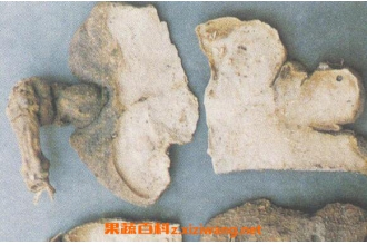 ѩ���Ĺ�Ч������ ѩ����ҩ�ü�ֵ