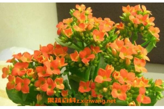 ���ٻ��Ĺ�Ч������ ���ٻ��Է�ˮ��Ӱ��
