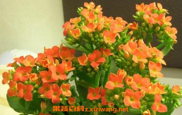 ���ٻ��Ĺ�Ч������ ���ٻ��Է�ˮ��Ӱ��
