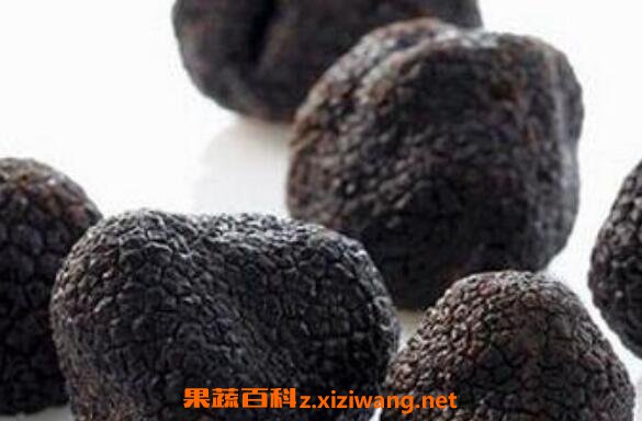 ����¶�Ĺ�Ч������ �Ժ���¶�ĺô�