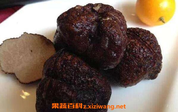 ����¶��ô�� ����¶�ļҳ������̳�