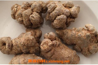 �����ߵĹ�Ч������ �����ߵ�ҩ�ü�ֵ