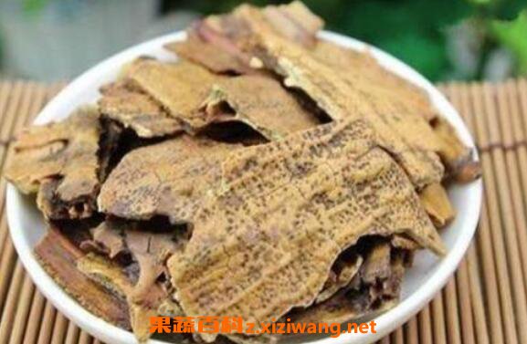 醋鳖甲的功效与作用