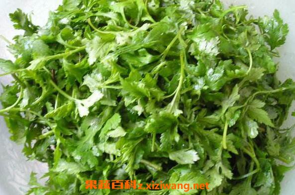 �ջ�ͷ�Ĺ�Ч������ �ջ�ͷ��ҩ�ü�ֵ